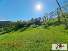 casa-de-vanzare-cu-46774-mp-teren-in-zona-vintu-de-jos-0